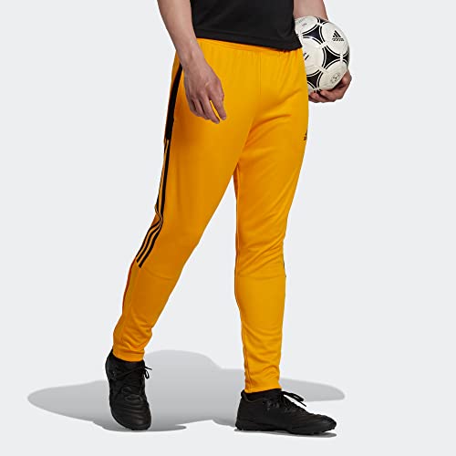 Team College Gold 2