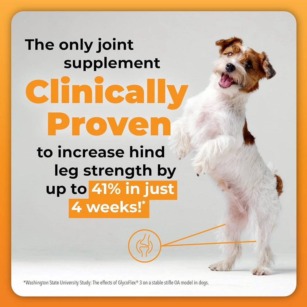 GlycoFlex Plus Hip and Joint Supplement for Medium & Large Dogs - Bacon Flavor | Supports Mobility & Joint Health | Ideal for Active Dogs & Senior Pets