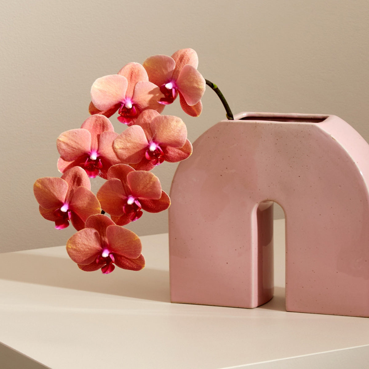 Middle Of Nowhere Kurve Vase - Modern Ceramic Home Decor for Living Room, Bedroom & Office - Perfect for Flowers and Centerpieces