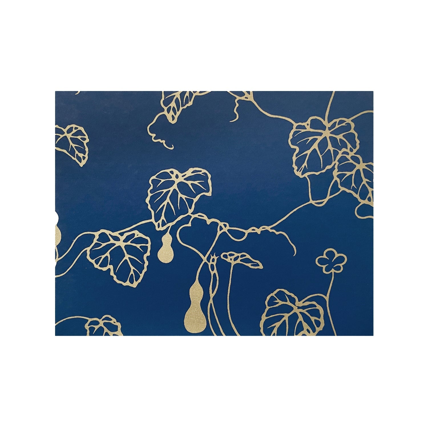 Premium Newport 8.5x11 Washi Scrapbook Paper - 50 Sheets Decorative Japanese Origami Paper for DIY Crafts, Journaling, Scrapbooking & Card Making - Perfect for Gift Wrapping, Bullet Journals & Home Decor