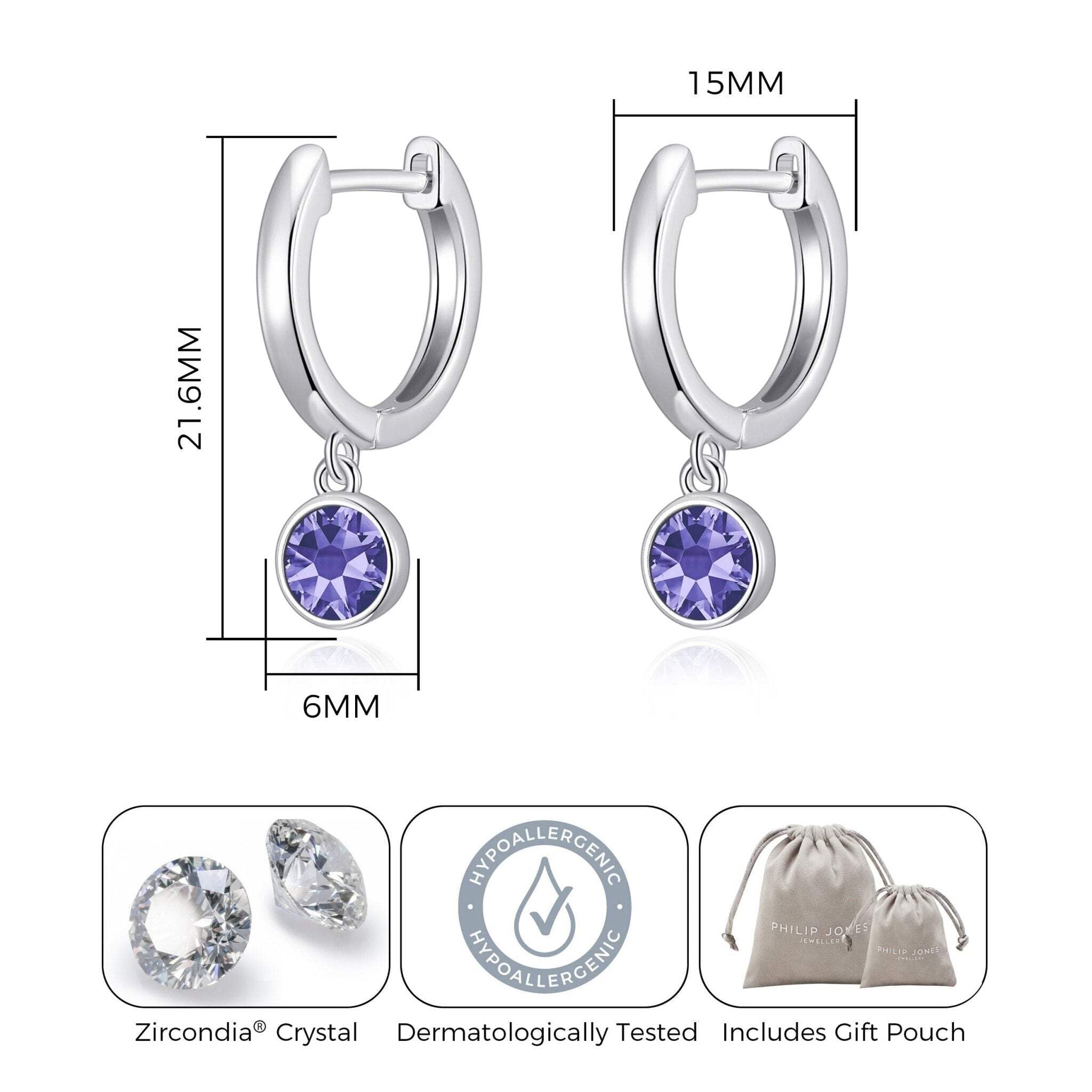Amethyst Hoop Earrings with Zirconia - February Birthstone Jewelry for Women