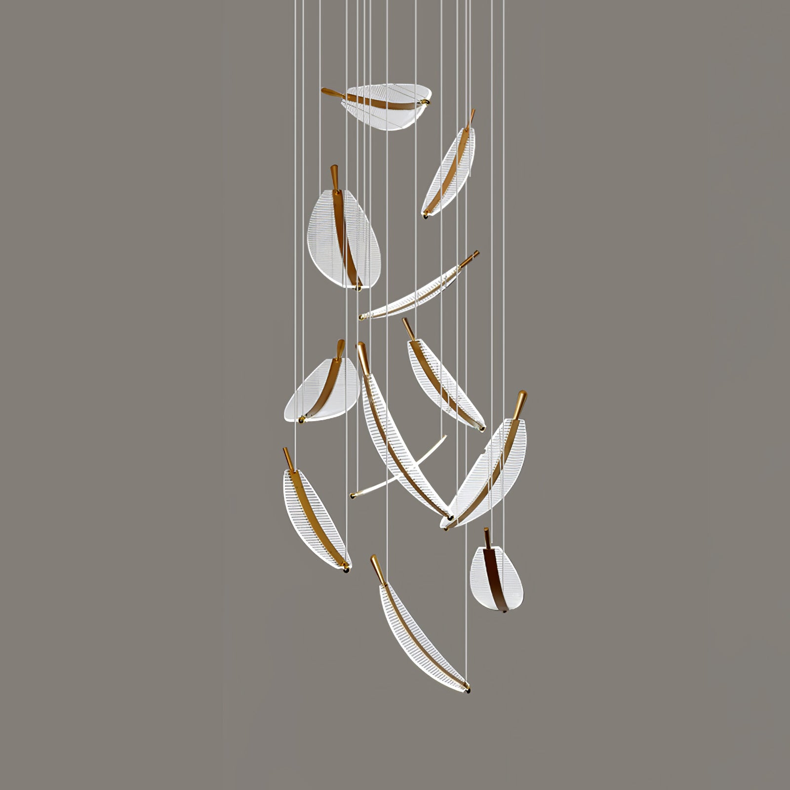 Gold+Clear