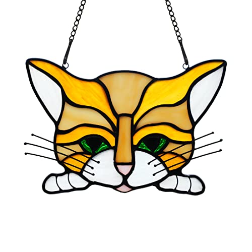 Cat F