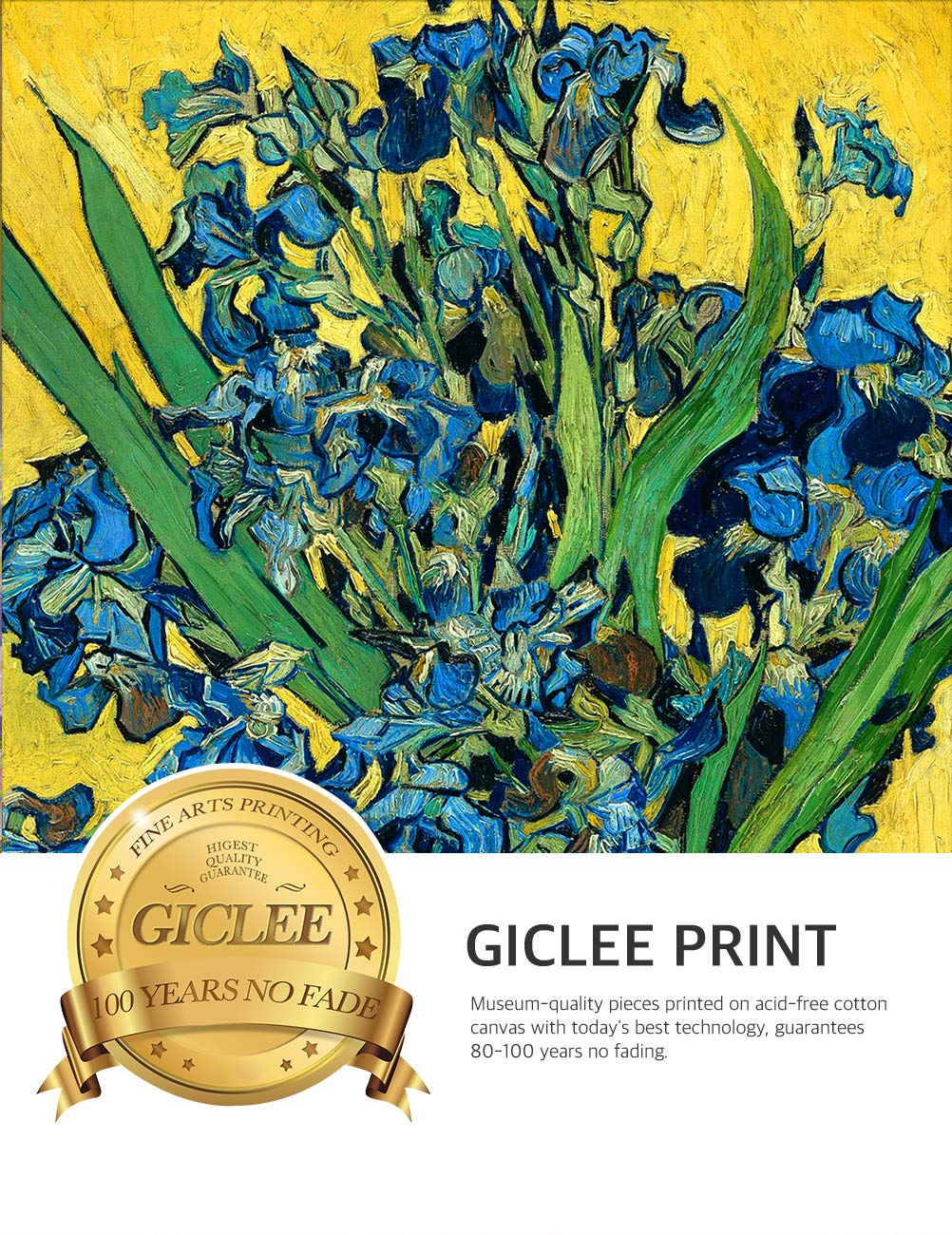 DECORARTS - Van Gogh Irises Vase Flower Giclee Canvas Print with Golden Relief Frame - 24x20 in Picture, 30x26 in Framed Size - Premium Wall Art for Living Room, Bedroom & Office Decor