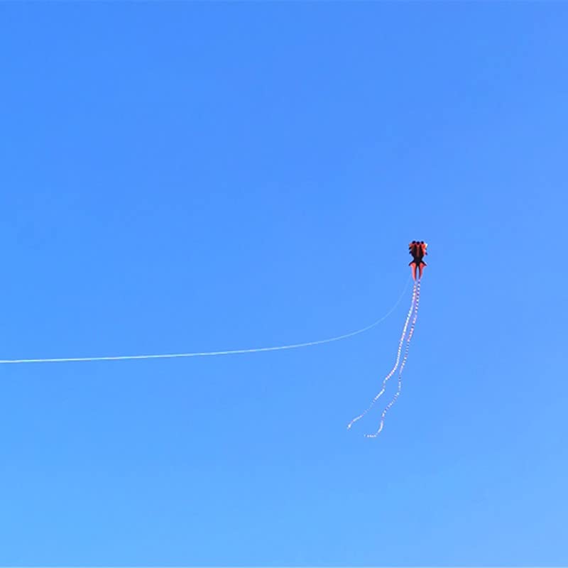 Rainbow Goldfish Kite for Kids & Adults - 30M Line for Beach & Outdoor Fun