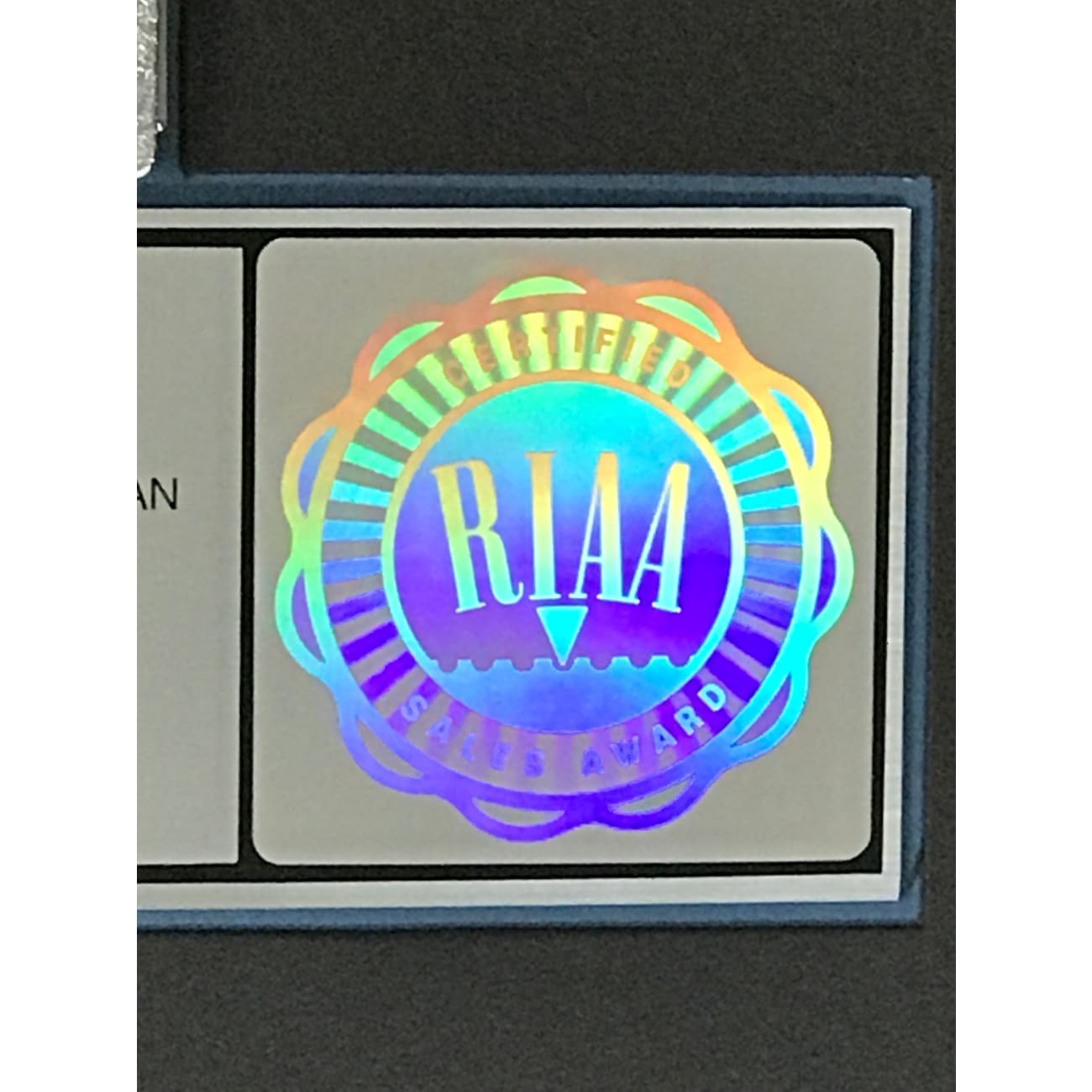 Billy Idol Vital Idol RIAA Platinum Album Award - Official Music Collectible for Fans & Display