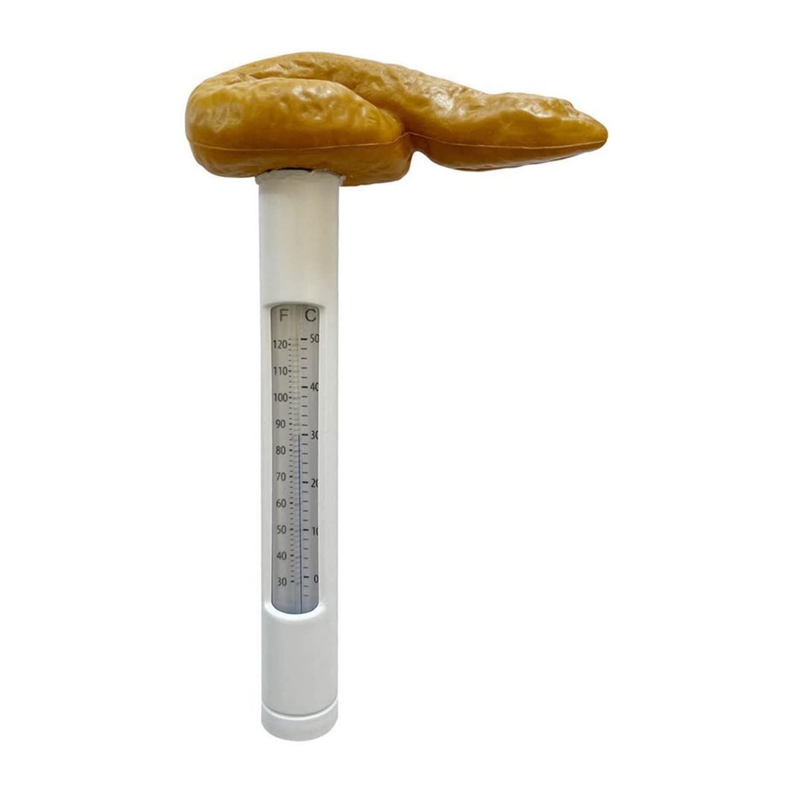 CMYX Floating Pool Thermometer - Large Size Easy Read Water Temperature Tester for Spa, Hot Tubs, Swimming Pools - Funny Floating Poop Meter Accessory for Indoor & Outdoor Use