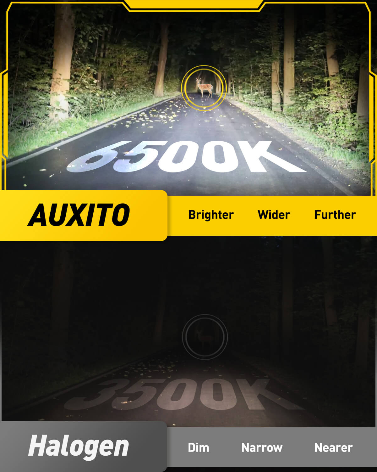 2025 Upgraded H11/H8/H9/H16 LED Fog Light Bulbs - 6500K Cool White, Mini Size 1:1 Replacement - 360° Full Illumination - Perfect for Night Driving, Off-Road Adventures & Bad Weather Conditions