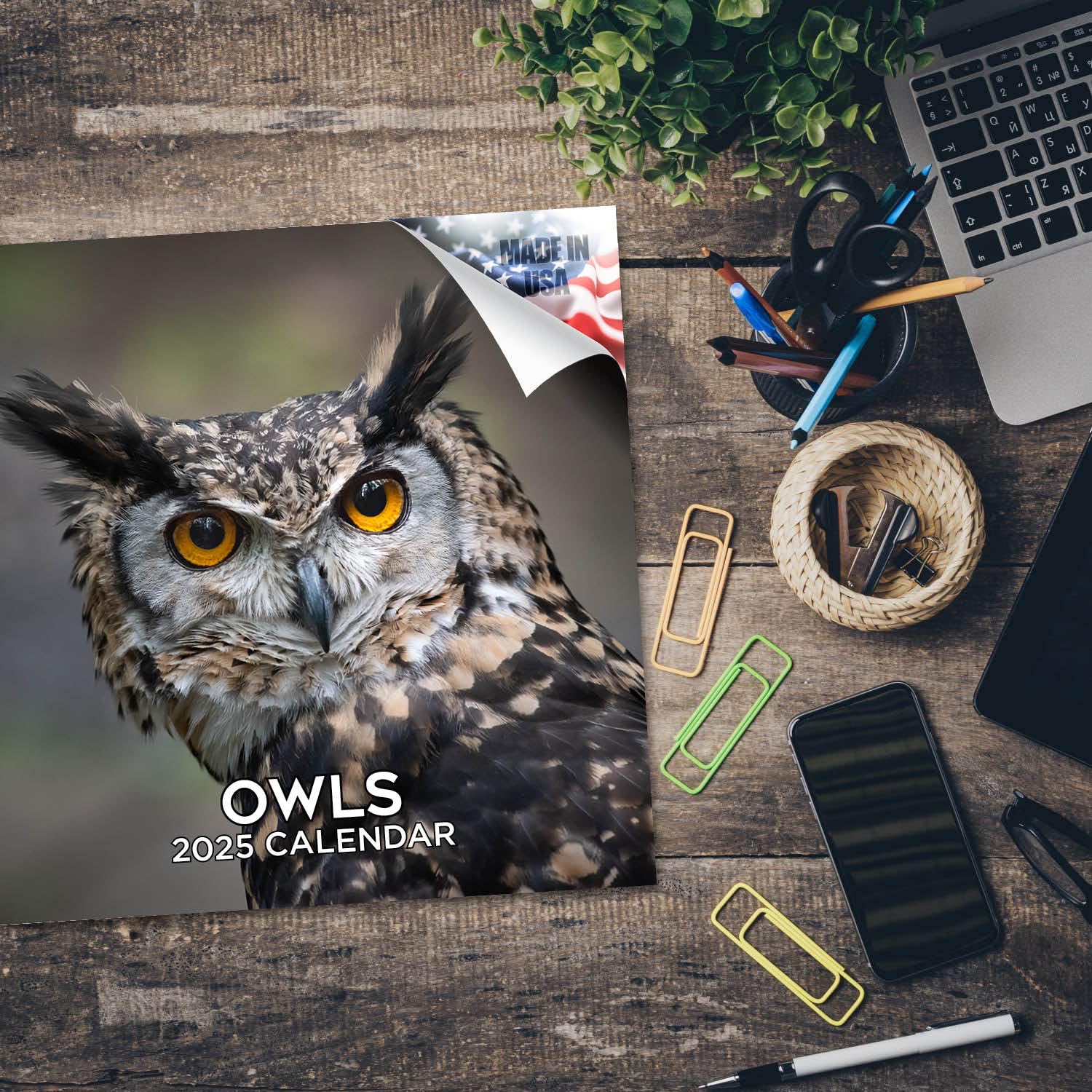 2024-2025 Owls & Wildlife Wall Calendar - 12