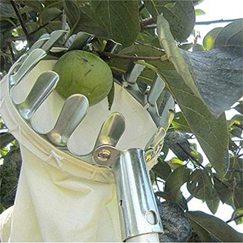 Best Fruit Picker Tool for Gardening - Easy to Use Apple & Peach Harvester with Extendable Pole - Perfect for Home Orchards, Backyard Harvesting, and Farm Use