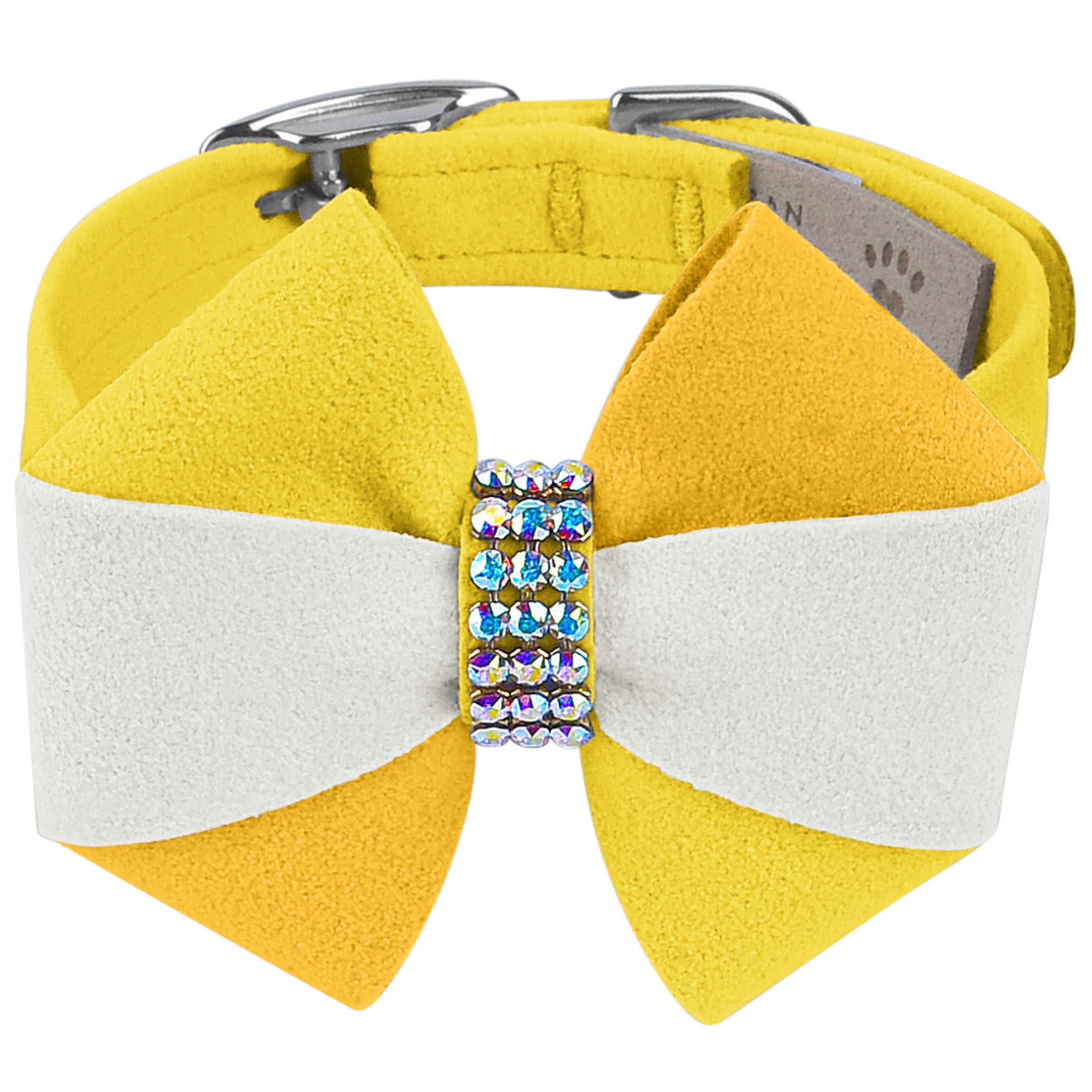 Pineapple Coconut Dog Collar - Tropical Floral Pet Accessory for Beach, Summer & Vacation Outfits