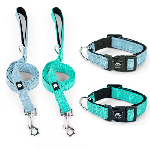 Blue&Teal(Collar+Leash)