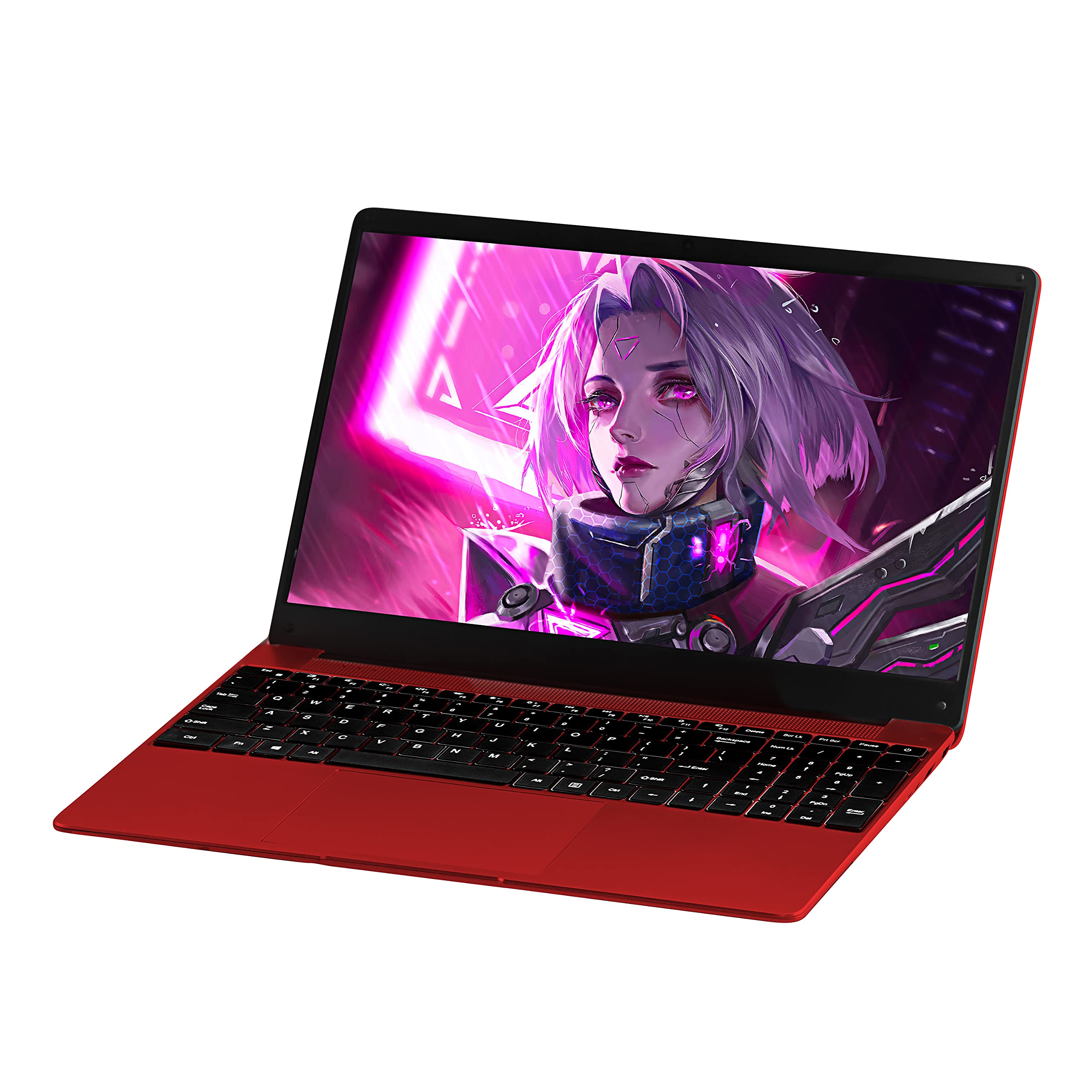 Microsoft Office 2019 & Windows 10 Pro 15.6