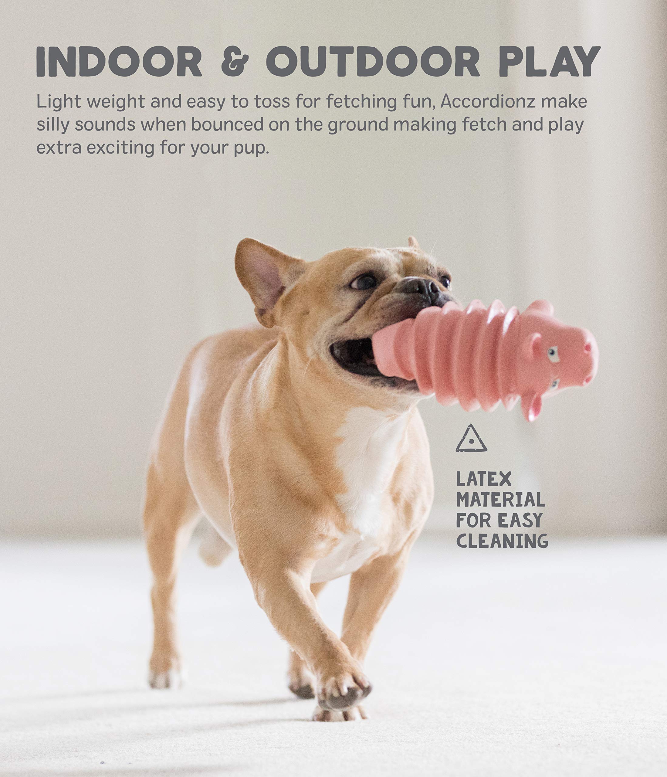 Outward Hound Accordionz Latex Rubber Squeaking Dog Toy - Squeaky & Grunting Alligator Chew Toy for Small & Medium Dogs | Interactive Play & Dental Health | Perfect for Fetch, Training & Teething Puppies