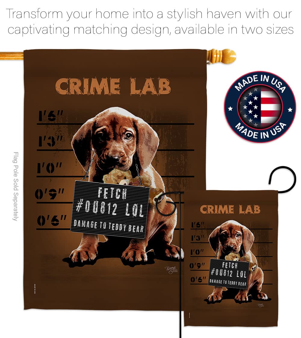Crime Lab Nature Pets House Flag Set 28x40 with Flagpole - Outdoor Decor