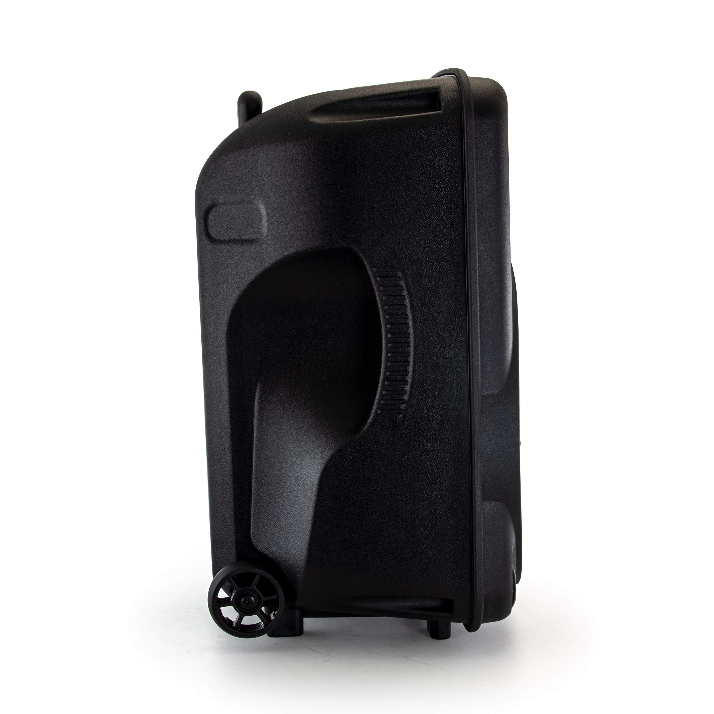 beFree Sound 12 Inch 2500 Watt Bluetooth Portable PA Speaker with LED Lights, USB/MicroSD/AUX/FM Radio - Perfect for Outdoor Parties, Events & DJ Performances (BFS-12, Black)