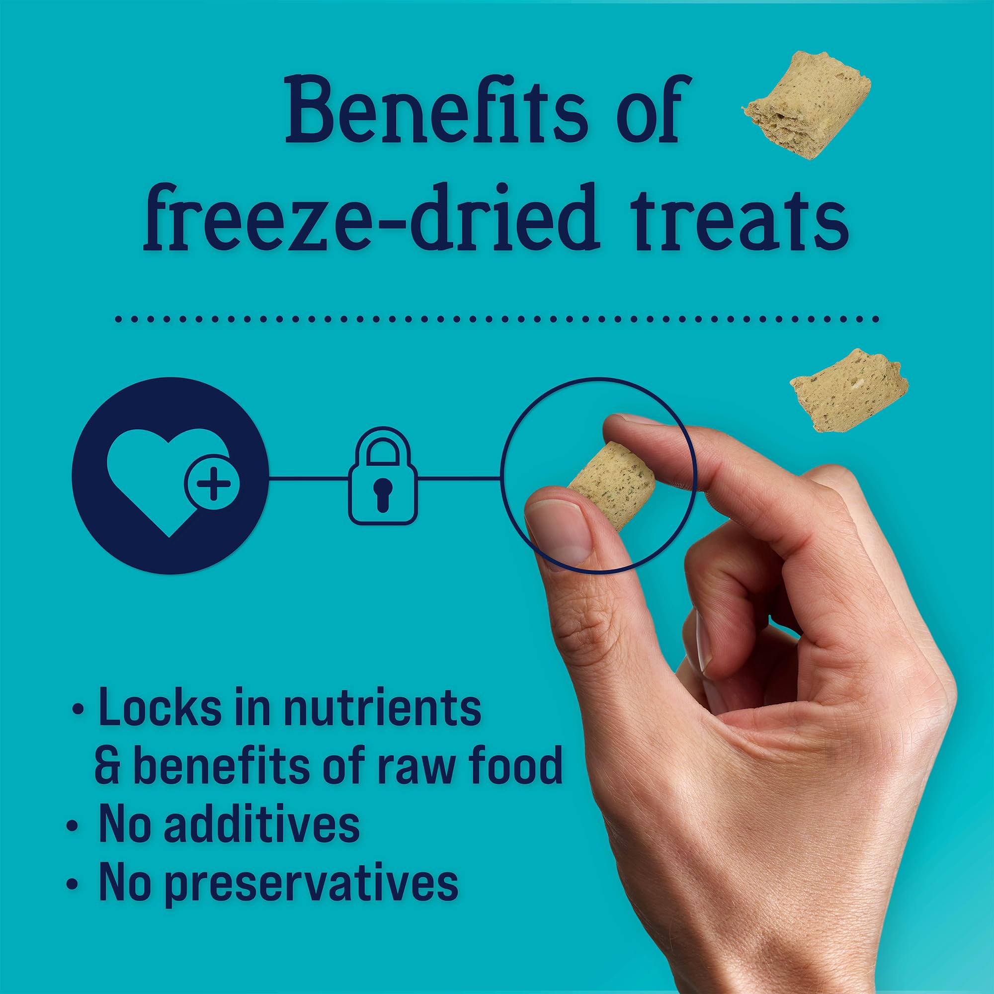 Premium Freeze-Dried Dog Treats with Chicken & Vegetables | Grain-Free, Vitamin E Enriched for Immunity Support | Made in USA | 4oz Resealable Pouch | Perfect for Training, Rewards & On-the-Go Snacking