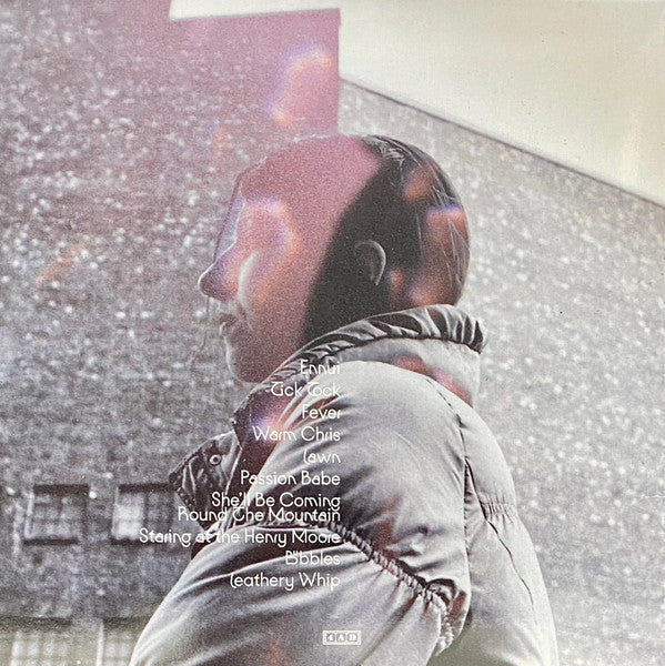 Aldous Harding - Warm Chris Vinyl LP Album (Near Mint NM/M Condition) - Perfect for Record Collectors & Indie Music Lovers
