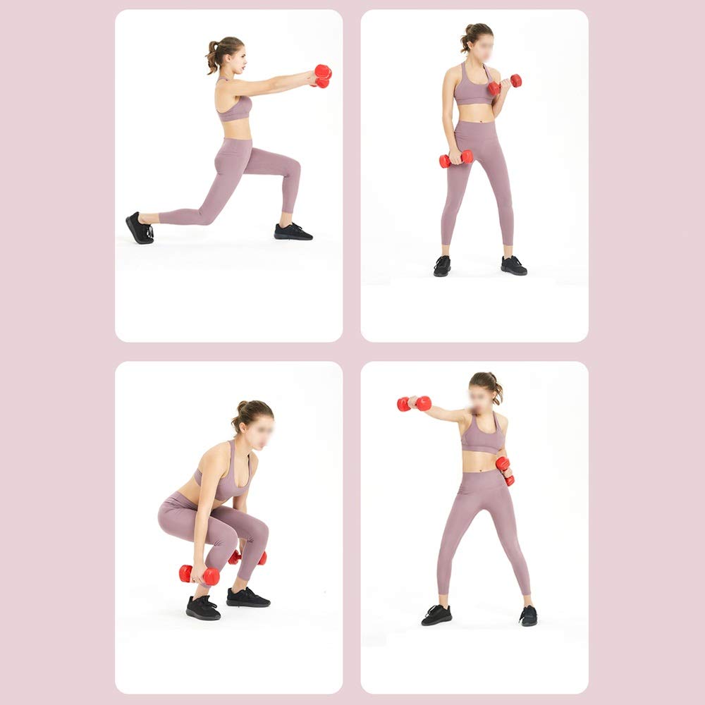 Rubber Coated Mini Dumbbells Set (1kg/1.5kg/2kg/3kg) - Compact Home Gym Equipment for Travel, Office & Family Fitness Training - Perfect for Strength Training, Yoga & Light Weight Lifting Exercises