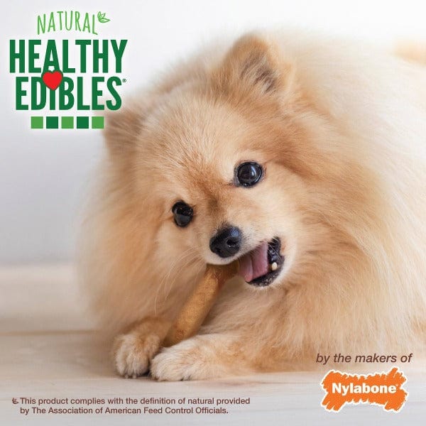 Nylabone Healthy Edibles Roast Beef Flavor Small Dog Chews - Tasty Dental Treats for Teething Puppies & Small Breed Dogs