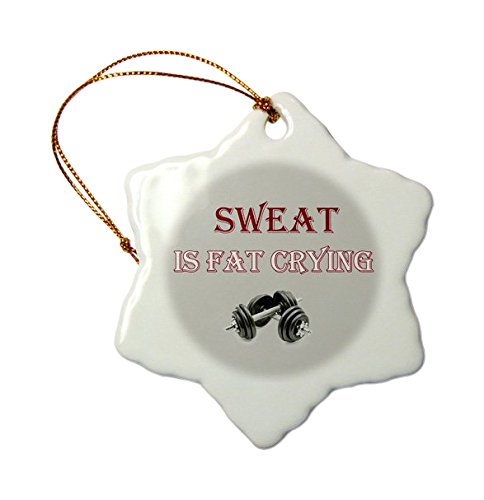 3dRose Funny Gym Quote Ornament - 