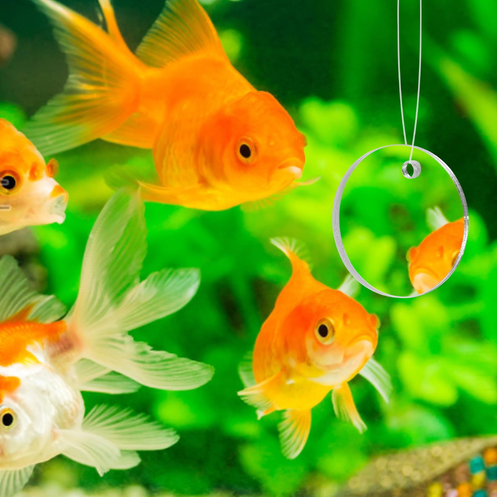 POPETPOP Betta Exercise Mirror - Double Sided Circle Fish Tank Accessory with Floating Ball for Aquarium Fish (5CM) - Stimulate Betta Fish Activity & Reduce Stress