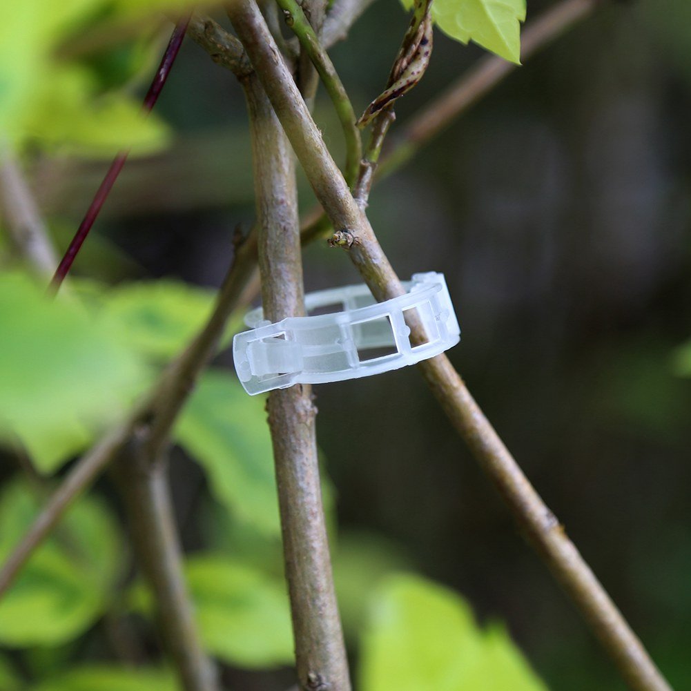 100pcs Plant Grafting Clips - Strong Plastic Vine Clamps for Tomato, Orchid, Flower & Vegetable Support - Perfect for Vertical Growth in Gardens, Greenhouses & Indoor Plant Care