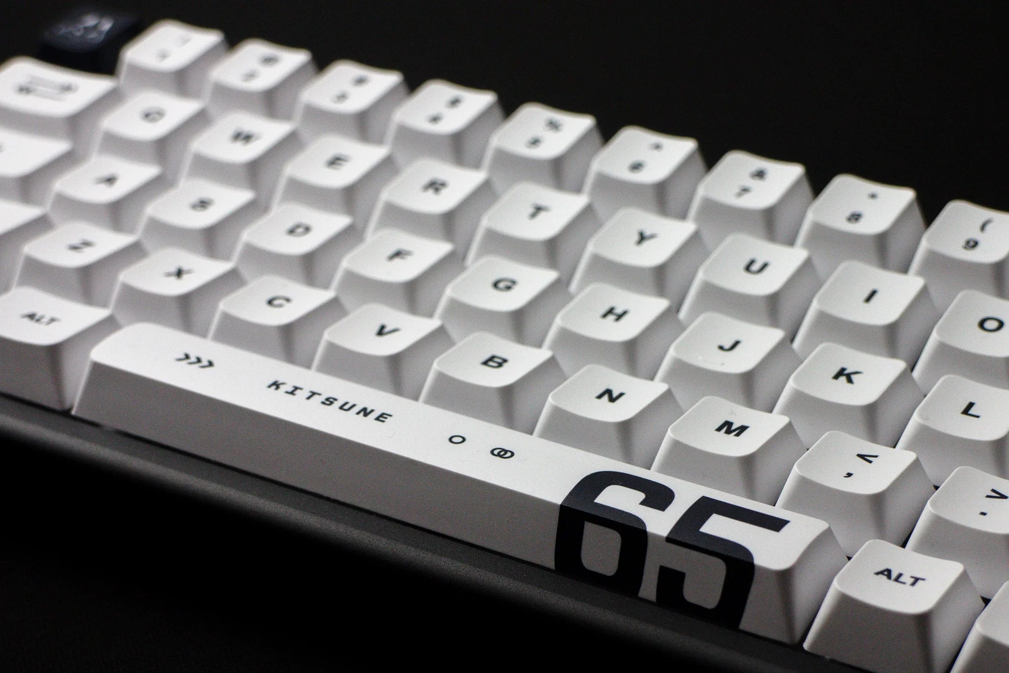Arbiter Studio KITSUNE Polar 65 PRO Hall Effect Magnetic Gaming Keyboard - 65% Compact Mechanical Keyboard with Hot-Swappable Switches for PC, Mac, Typing & Esports Gaming