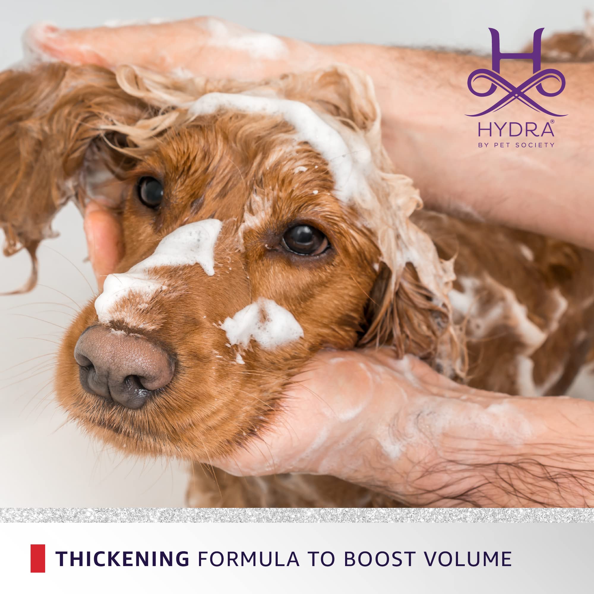 Hydra Volumizing Pet Shampoo for Dogs & Cats - 169 Fl Oz Moisturizing & Detangling Formula - Perfect for Bathing, Grooming & Styling Your Furry Friends