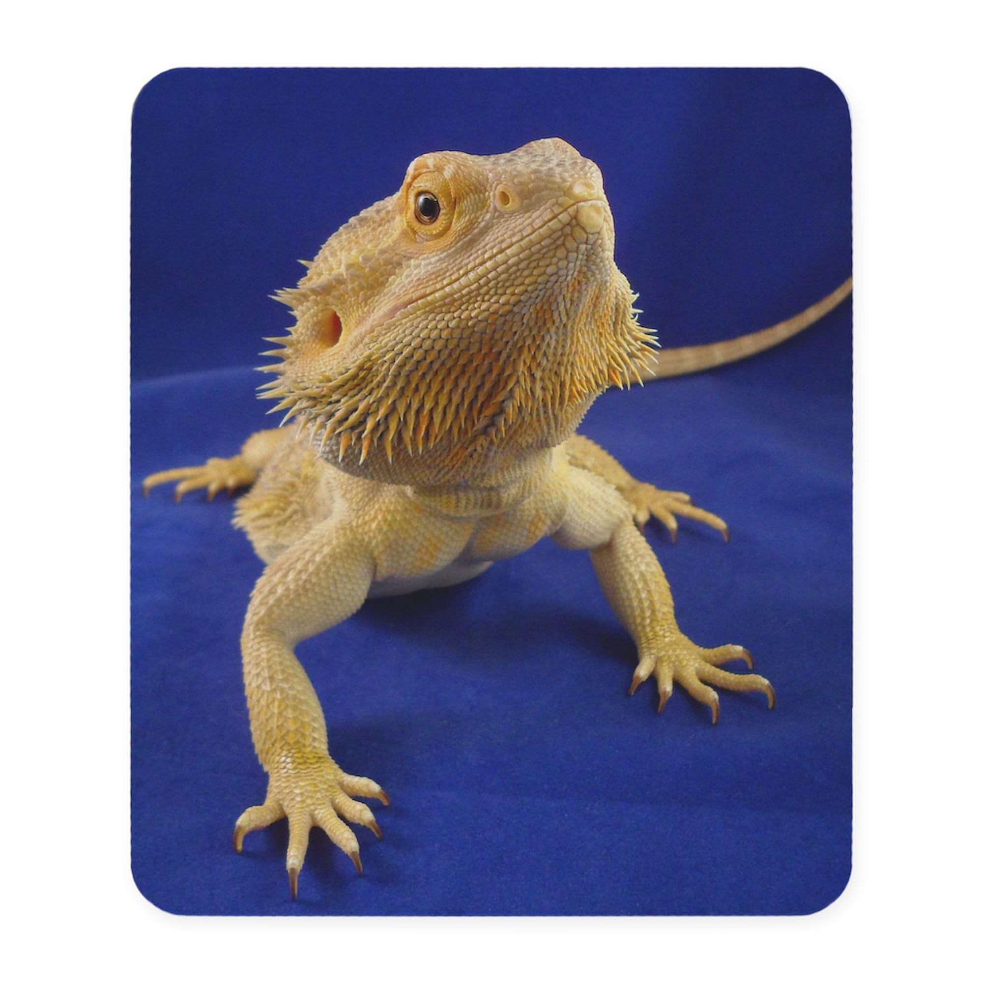 Bearded Dragon Non-Slip Rubber Gaming Mouse Pad - Cute Reptile Design for Computer & Office Use - Perfect for Gamers, Programmers & Pet Lovers