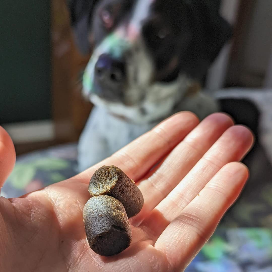 Organic Hemp Relief Soft Chews for Dogs - Hip & Joint Supplement with Long-Lasting Mobility Support | Calming Anxiety Relief | Natural Hemp Dog Treats for Joint Pain, Stress & Relaxation | Perfect for Active Dogs, Senior Pets & Anxious Puppies (1 Pack)