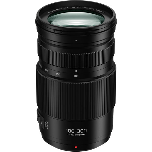 Panasonic Lumix G Vario 100-300mm f/4-5.6 II POWER O.I.S. Lens for Micro Four Thirds Cameras - Telephoto Zoom Lens with Optical Image Stabilization, Ideal for Wildlife, Sports & Travel Photography