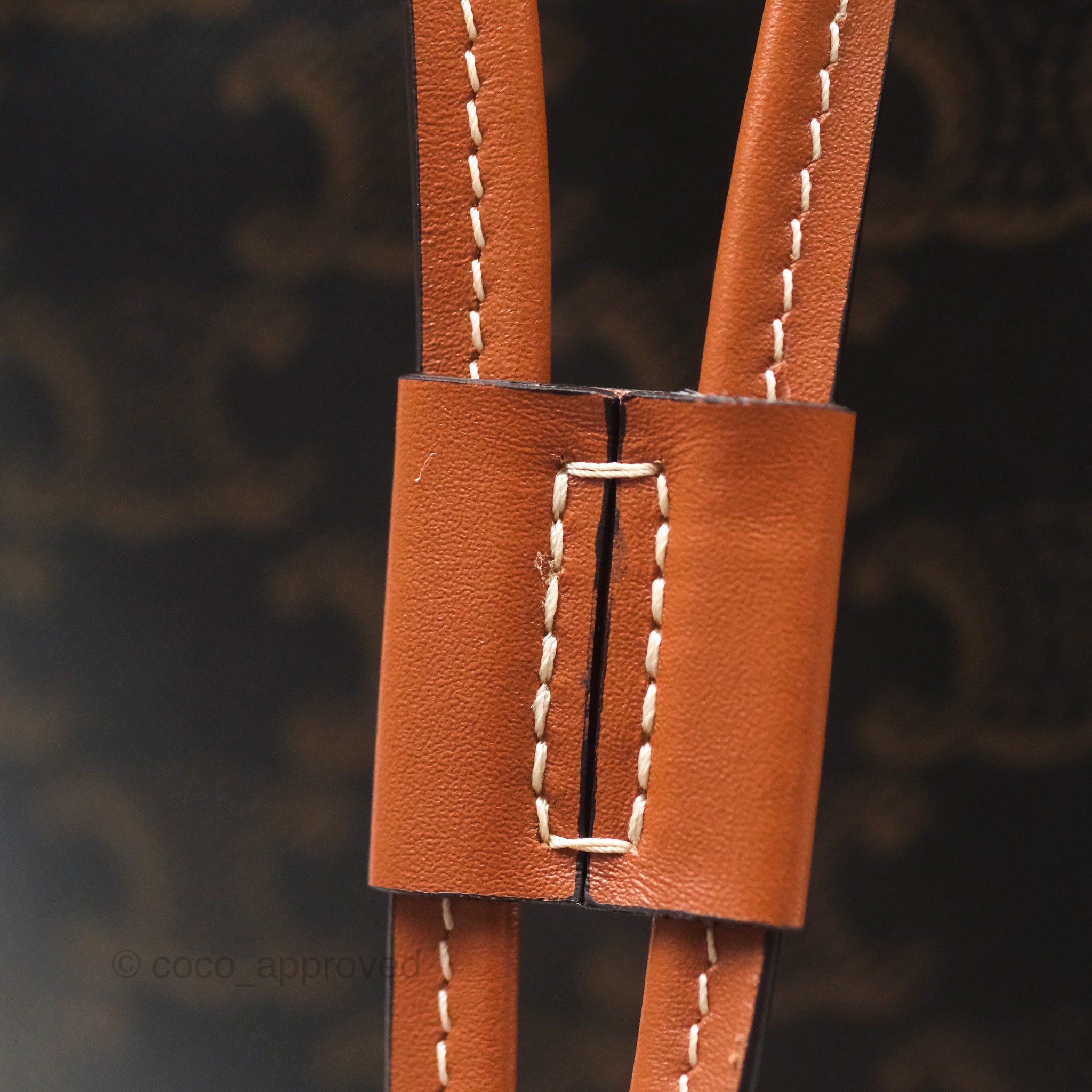 Celine Medium Folco Backpack in Triomphe Canvas & Calfskin Leather - Stylish Designer Backpack for Women, Work, Travel & Everyday Use