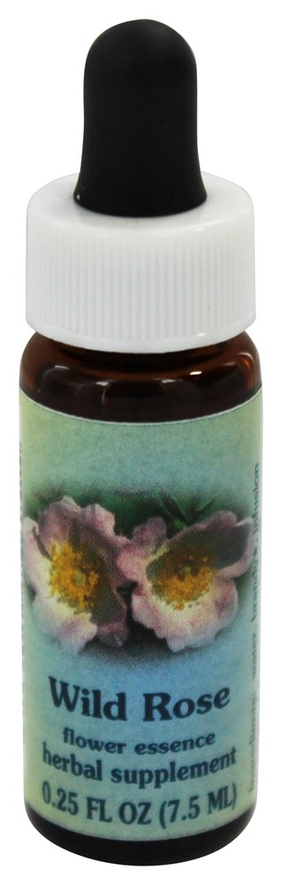 Wild Rose Flower Essence - 0.25 oz Bottle | Natural Emotional Support & Stress Relief | Perfect for Aromatherapy, Meditation & Holistic Healing