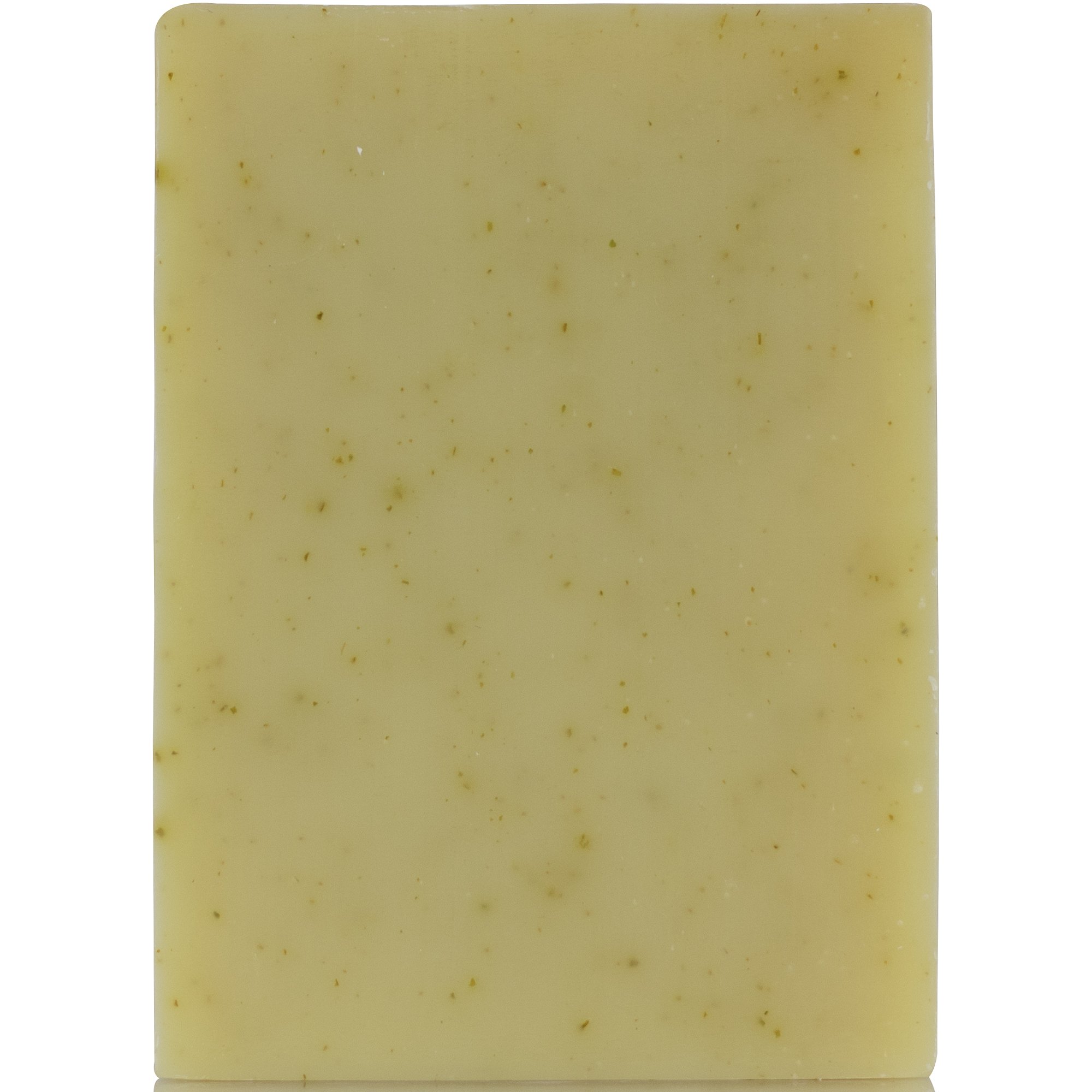 Organic Natural Soap Bar with Fresh Aloe by Chagrin Valley Soap & Salve - Moisturizing, Vegan & Chemical-Free for Sensitive Skin - Perfect for Daily Face & Body Cleansing, Gift Sets & Spa Days