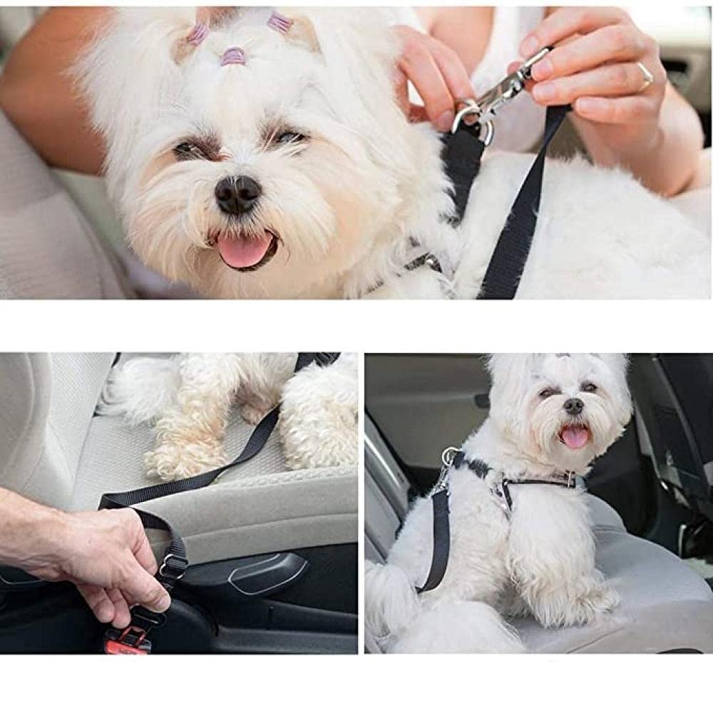 Adjustable Pet Dog & Cat Safety Seat Belt Harness - Black Car Vehicle Seatbelt for Small to Large Dogs - Secure Travel & Road Trips
