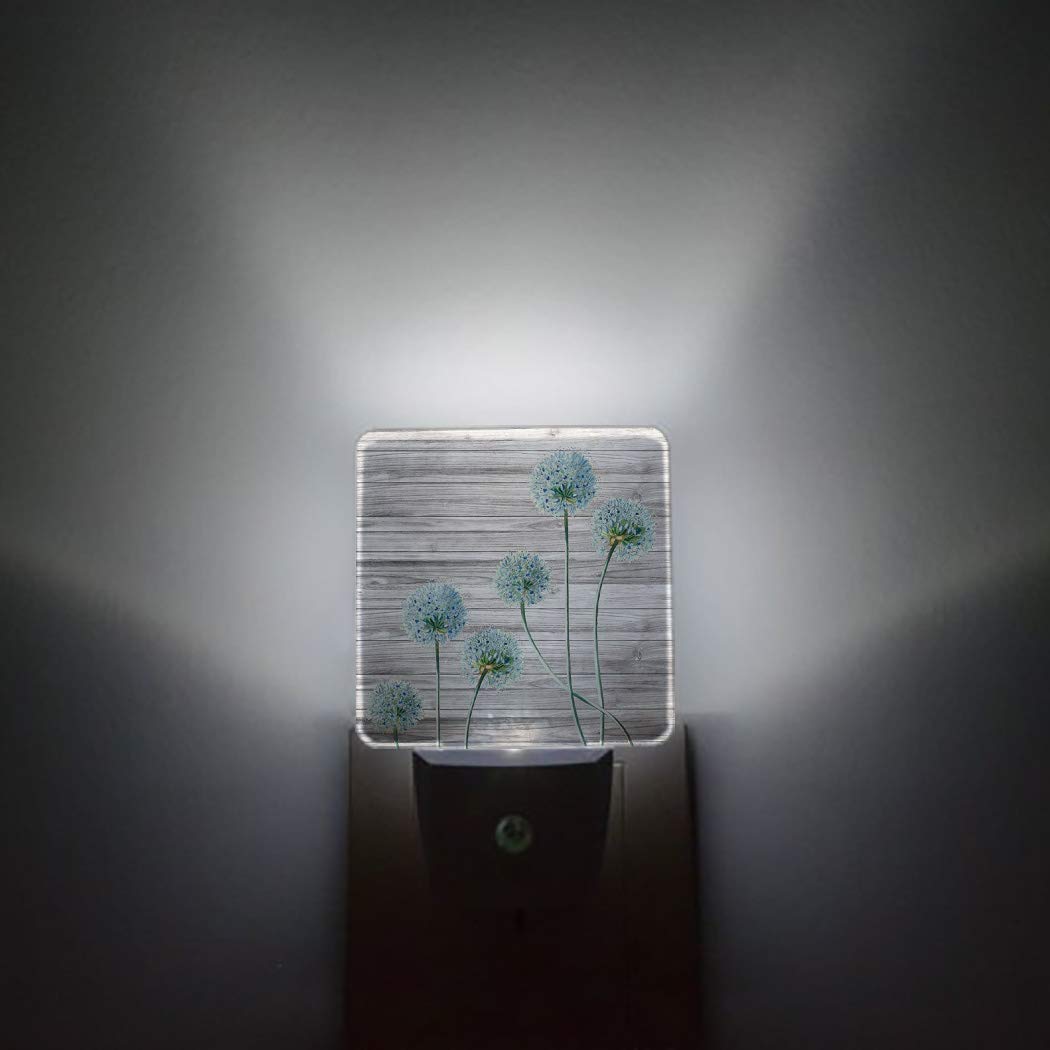 LED Night Light Plug in with Dusk to Dawn Sensor - Wood Grain Dandelion Design for Kids Room, Nursery, Bathroom, Hallway & Stairs | Energy Efficient Decorative Lighting for Home Safety & Comfort