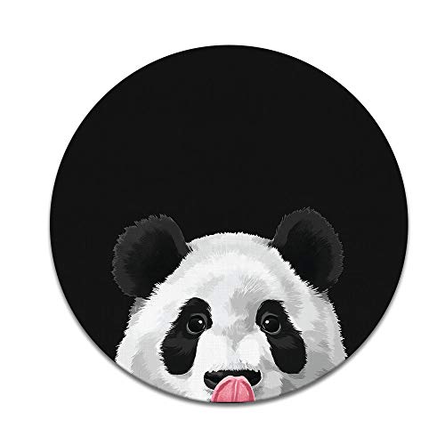 Baby Panda Bear