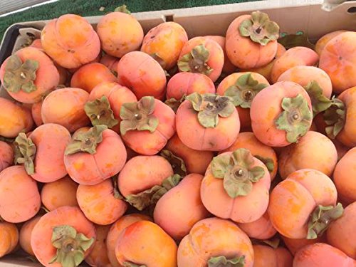 Organic Fuyu Persimmons 10 Lbs Box - Sweet & Fresh Non-Astringent Fruit - Perfect for Smoothies, Salads & Healthy Snacks