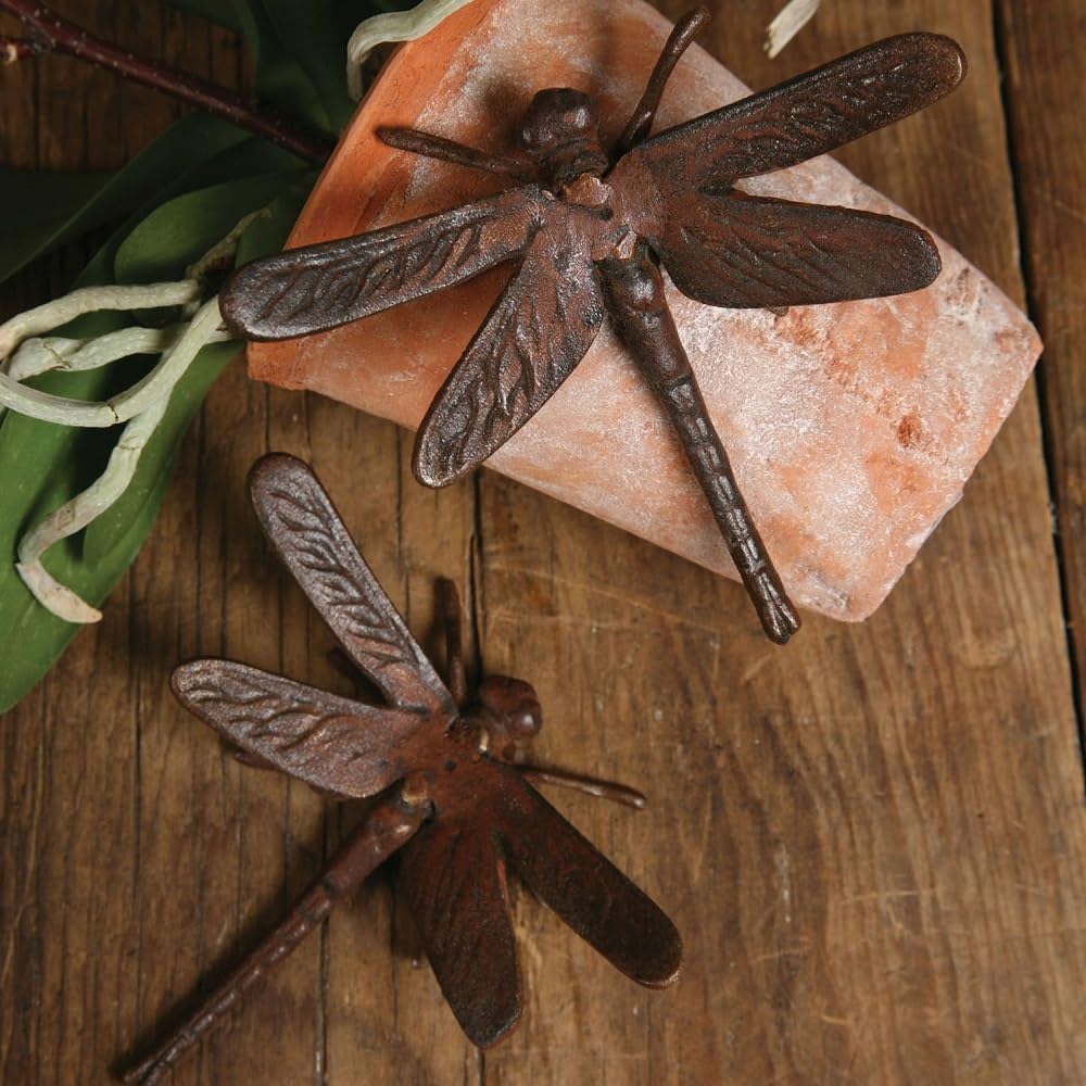 HomArt Cast Iron Dragonfly Garden Decor - Rust-Resistant Outdoor Statue for Patio, Yard, and Garden Decoration