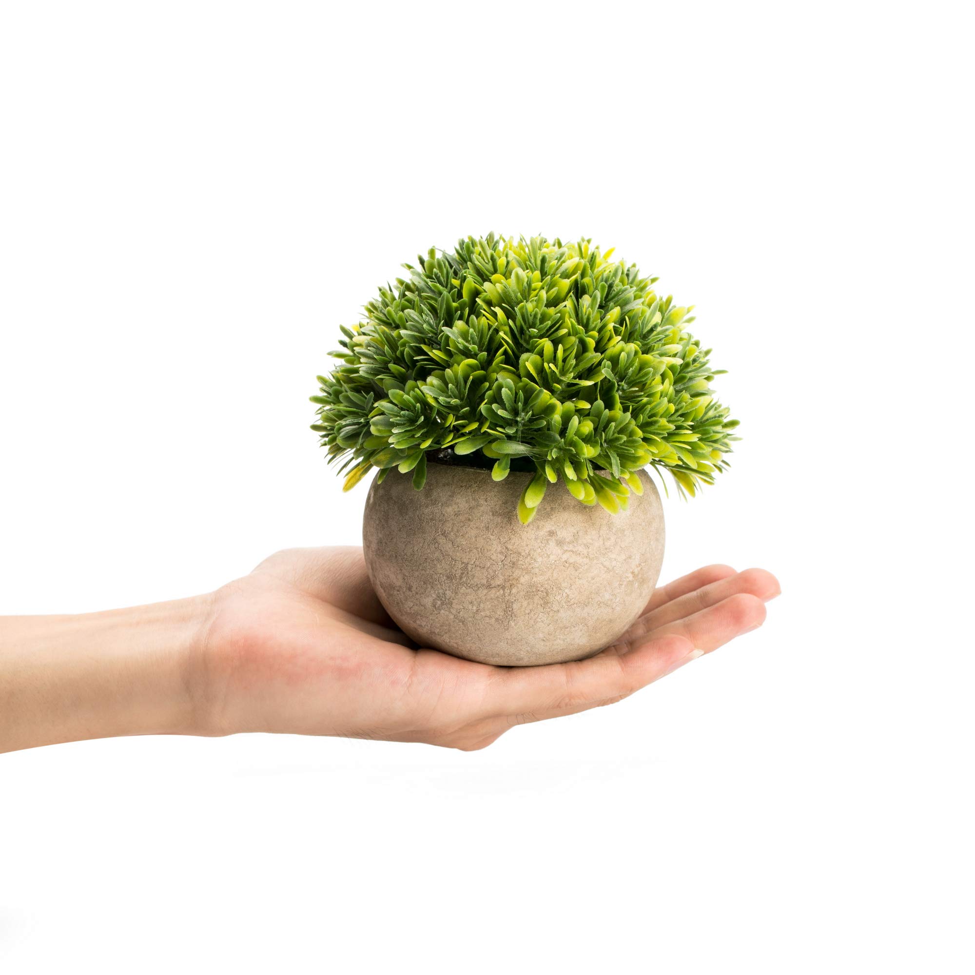 Velener Artificial Boxwood Faux Plant - Small Desk Topiary for Indoor Decor | Perfect for Bedroom, Office Cubicle, Shelf, Window, Dorm & Kitchen Counter | Farmhouse Home Accent Decor