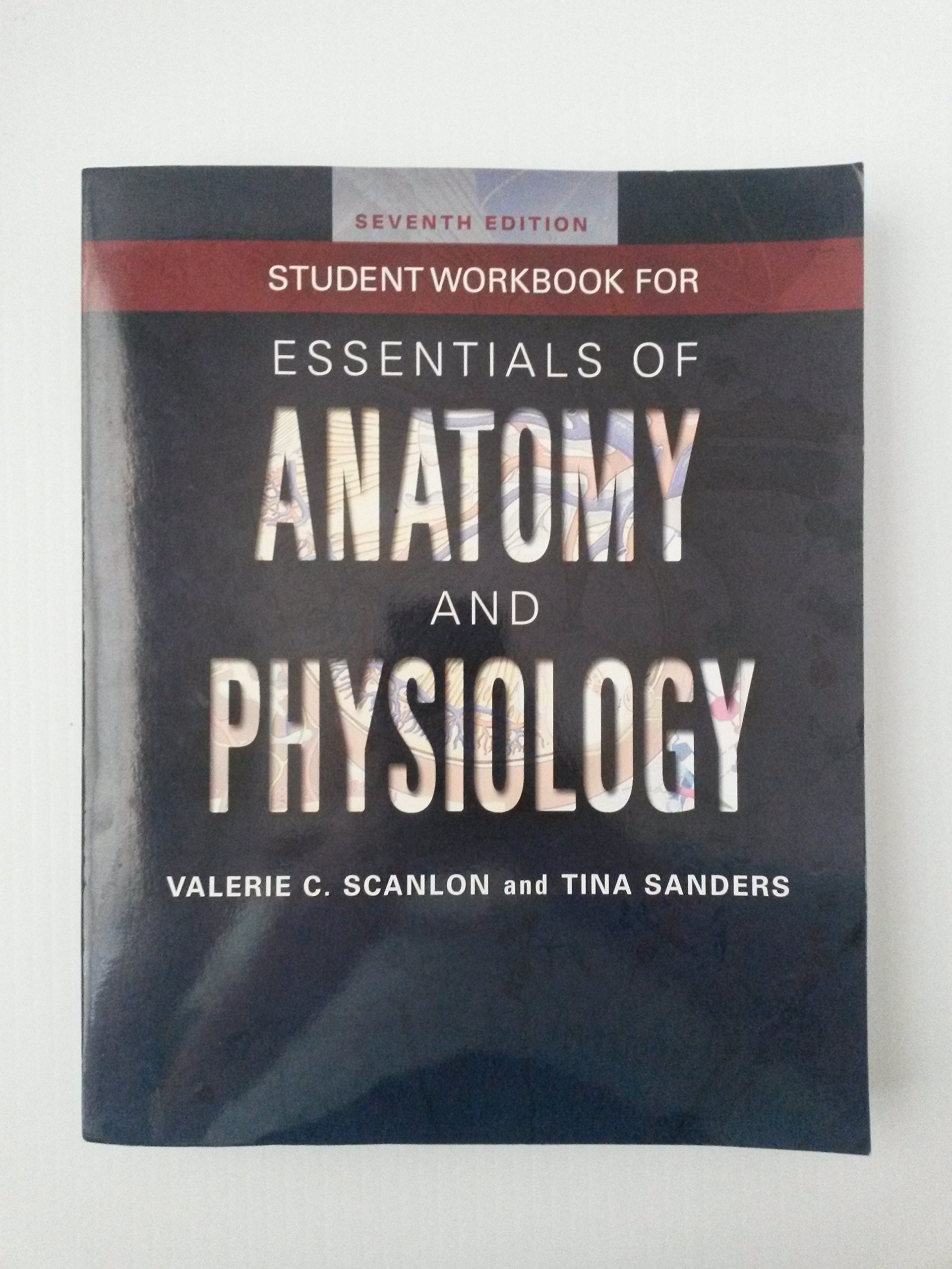 Anatomy and Physiology Student Workbook - Essential Study Guide for Medical & Nursing Students | Perfect for Exam Prep & Classroom Use