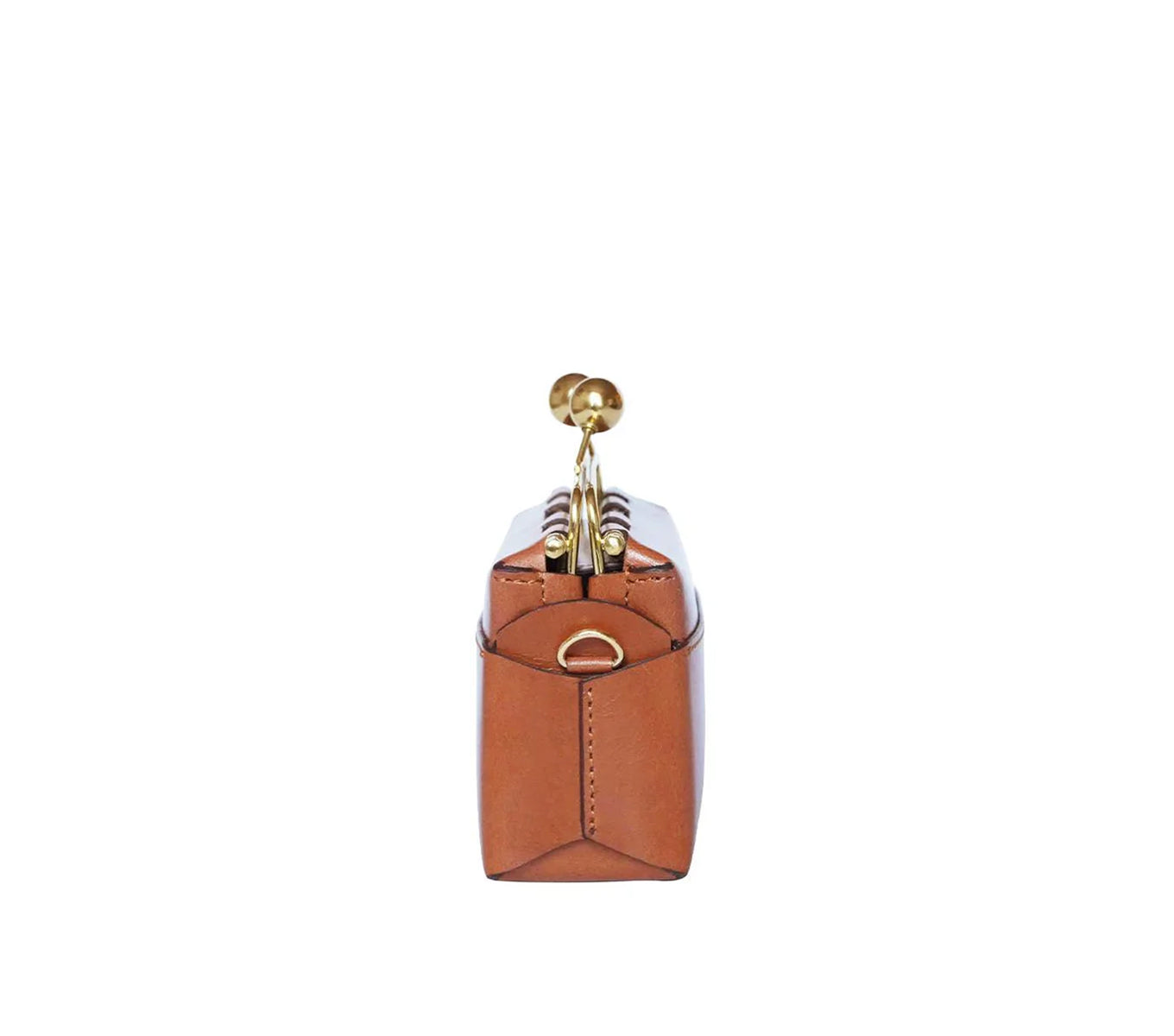 Mini Kisslock Bag - Stylish & Compact Crossbody Purse for Women | Perfect for Parties, Date Nights & Everyday Use