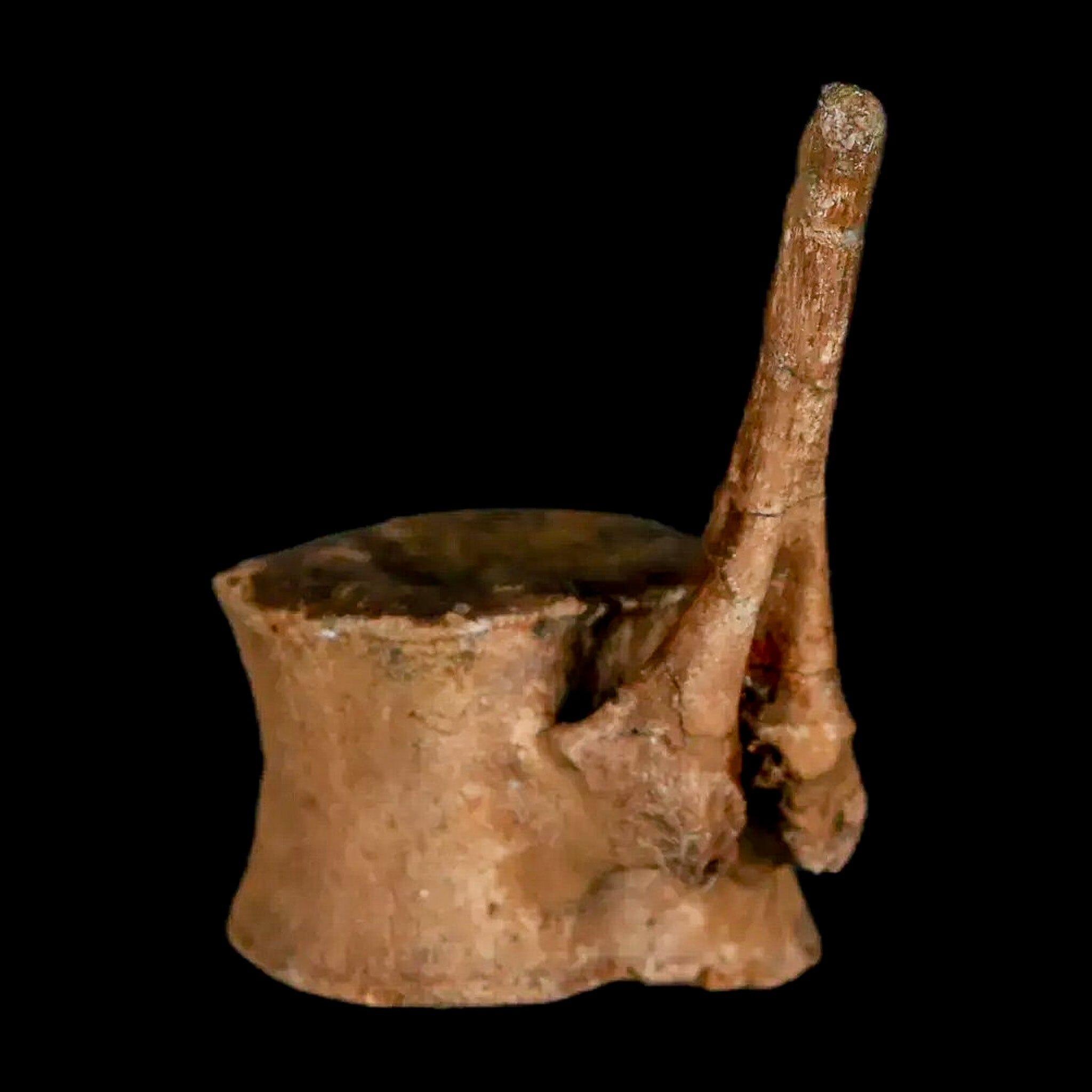 Authentic Brachylophosaurus Dinosaur Tail Vertebrae Fossil - Cretaceous Period Judith River Formation with COA - Perfect for Paleontology Collectors & Educational Displays