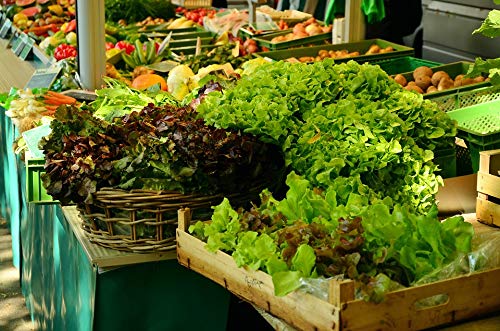 20x30 Inch Laminated Vegetable Market Poster - Vibrant Green Salad & Fresh Produce Wall Art - Perfect for Kitchen Decor, Dining Room, or Farmers Market Display