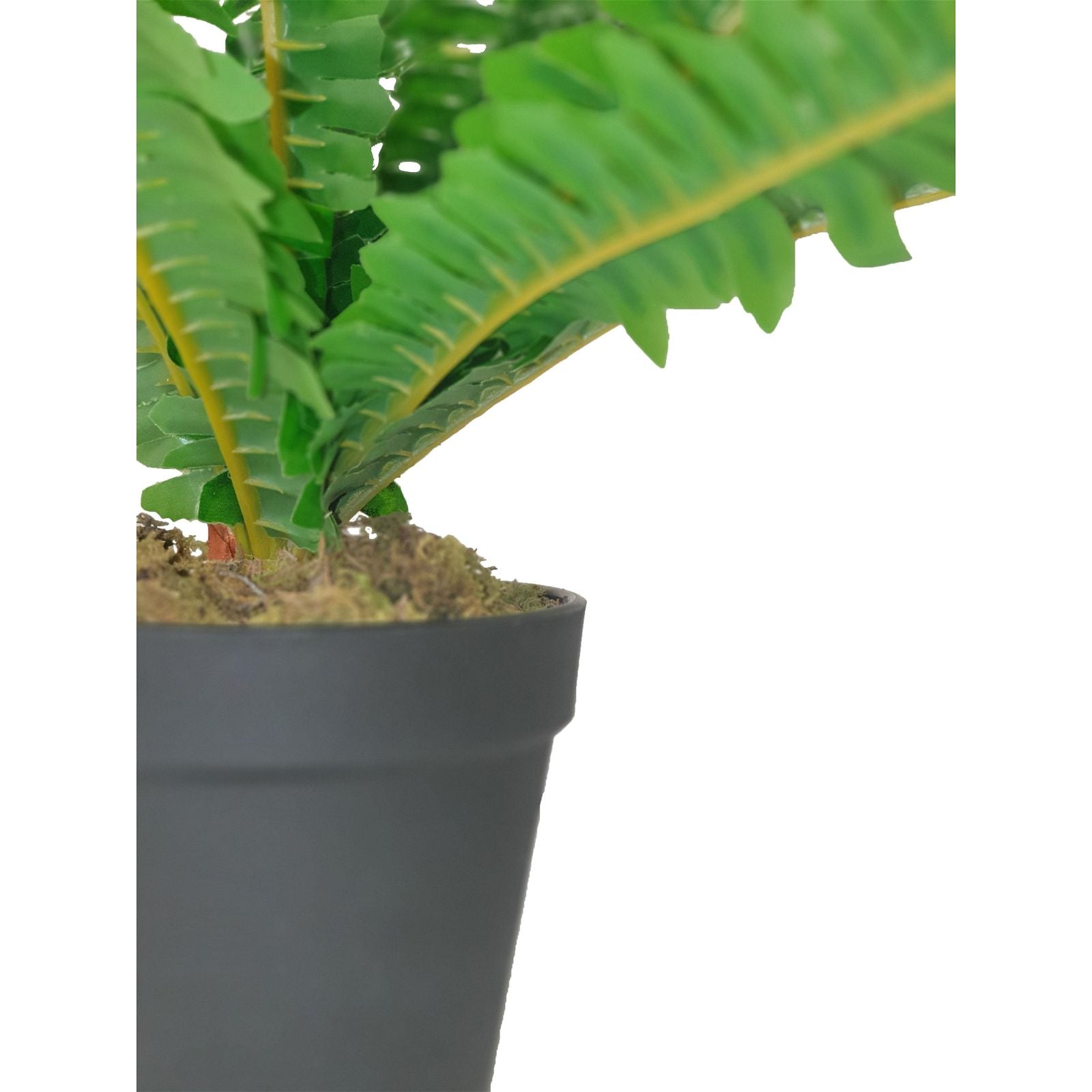 50cm Artificial Green Leaf Fern Plant by Criterion - Realistic Fake Plant for Home Decor, Office, Living Room, Bedroom & Indoor Spaces