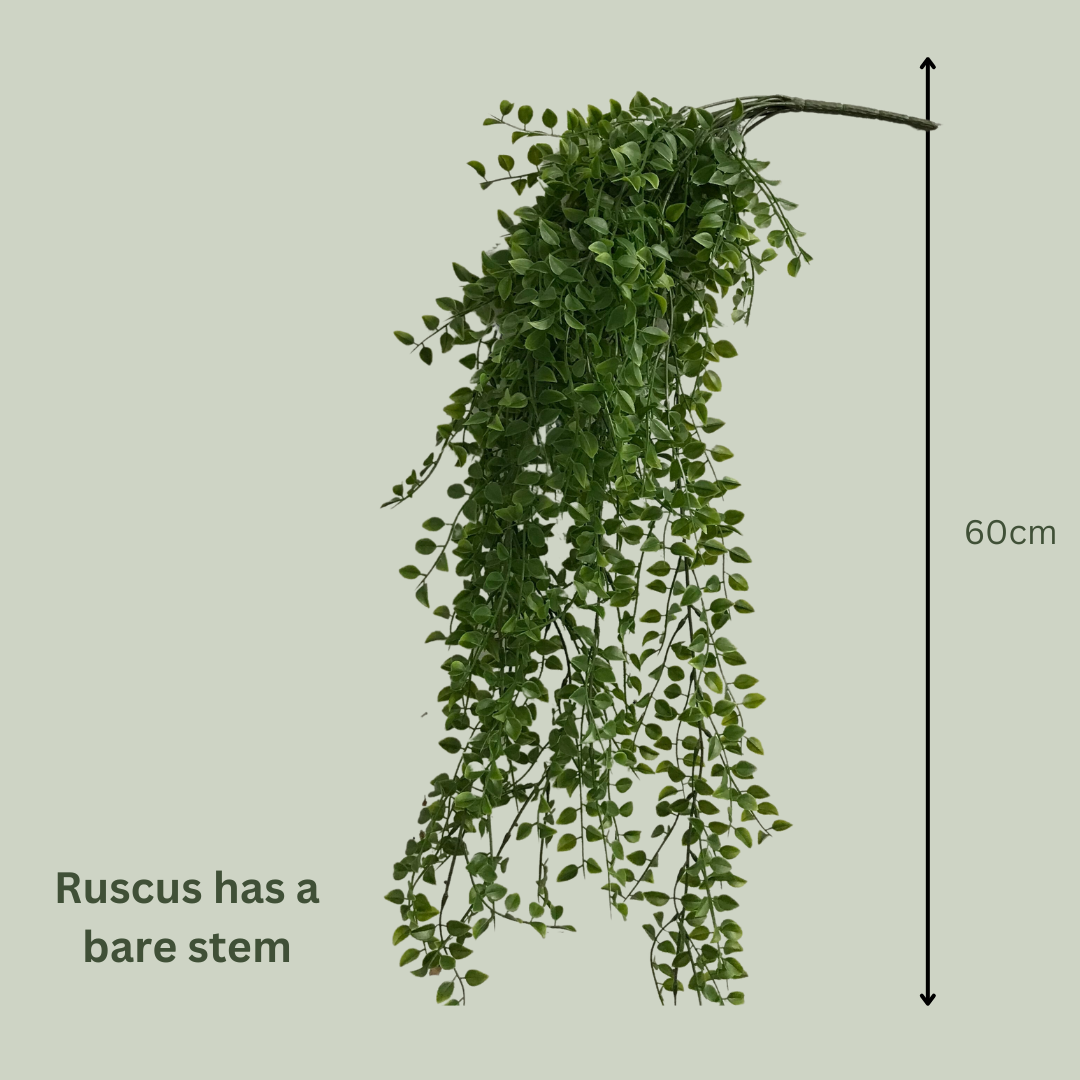 Artificial Hanging Ruscus Plant - Realistic Fake Greenery for Home Decor - Perfect for Living Room, Bedroom, Wedding & Party Decoration