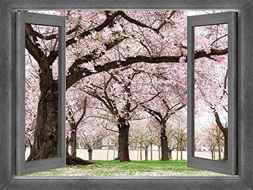 Cherry Blossom Garden