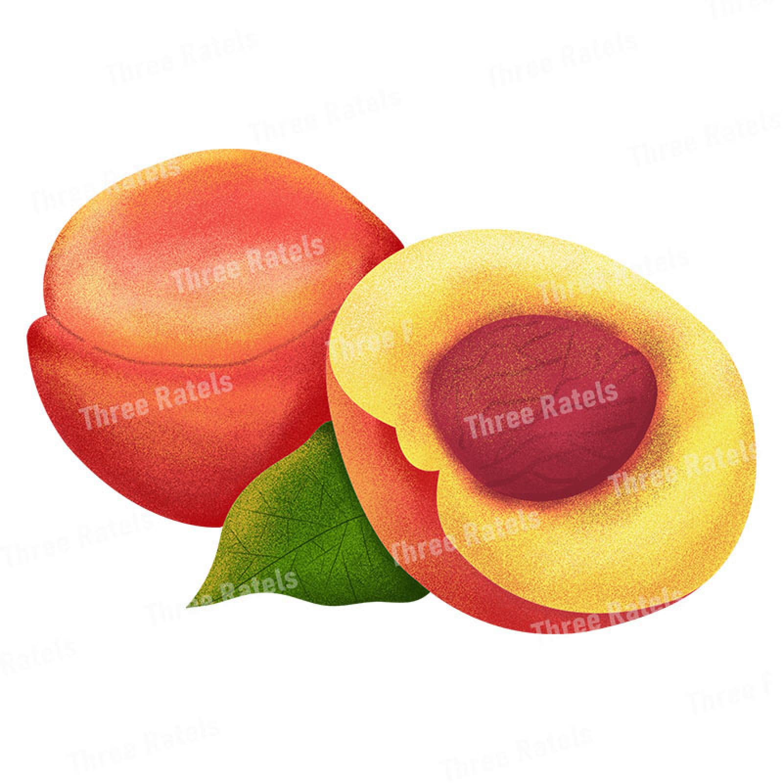 Fruit Stickers for Kitchen & Dining Room Decor - 30cm (11.81 inches) Peel & Stick Fridge Decals - Perfect for Home, Office, and Cafe Decoration
