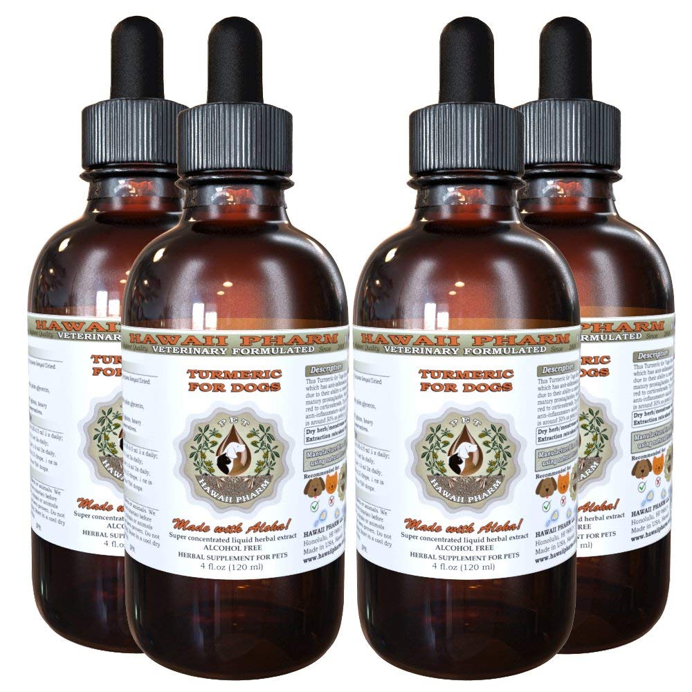 HawaiiPharm Alcohol-Free Turmeric Liquid Extract for Dogs - Natural Herbal Pet Supplement (4x4 oz) | Supports Joint Health & Digestion for Active & Senior Dogs